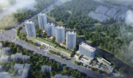 柳州楼叔最新爆料消息,揭秘柳州楼市最新动态与趋势